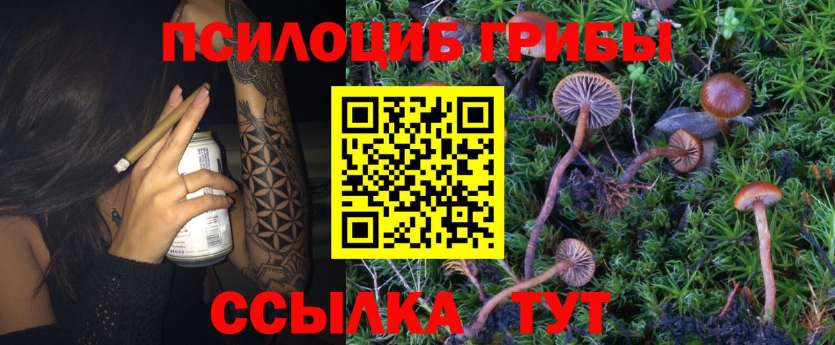 Чебаркуль  Псилоцибиновые грибы MAGIC MUSHROOMS  закладка  Вход с VPN 